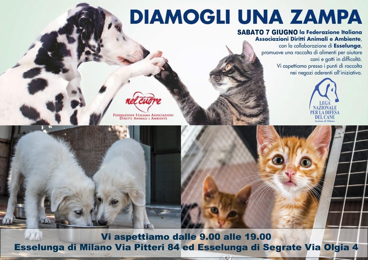 Diamogli una zampa: Sabato 7 Giugno raccolta alimentare presso Esselunga