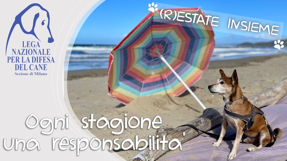 (R)ESTATE INSIEME !