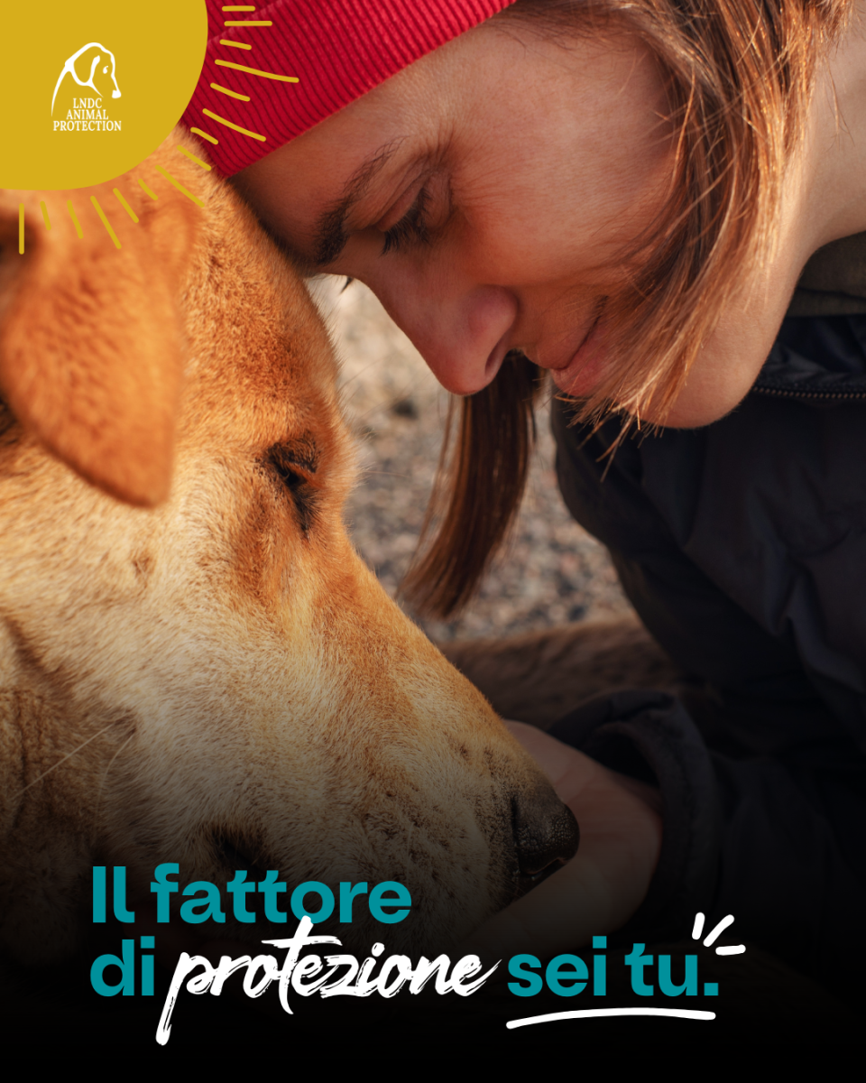 Il fattore di protezione sei tu!