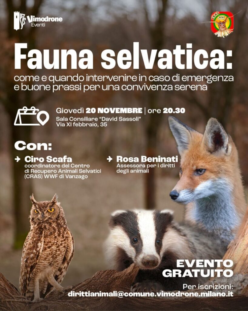Giovedì 20 Novembre, Vimodrone “FAUNA SELVATICA. Come e quando intervenire in caso di emergenza e buone prassi per una convivenza serena”.