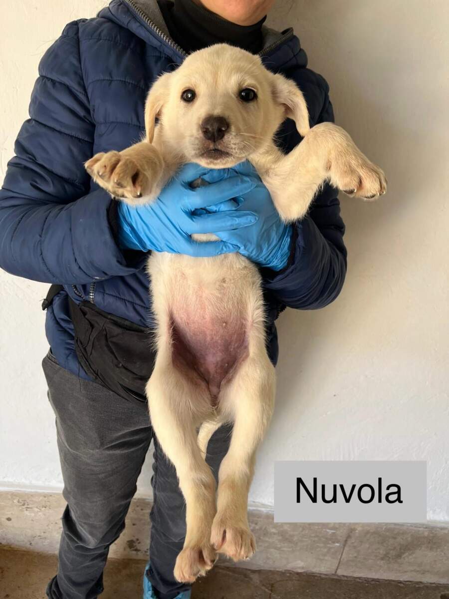 Nuvola- In arrivo