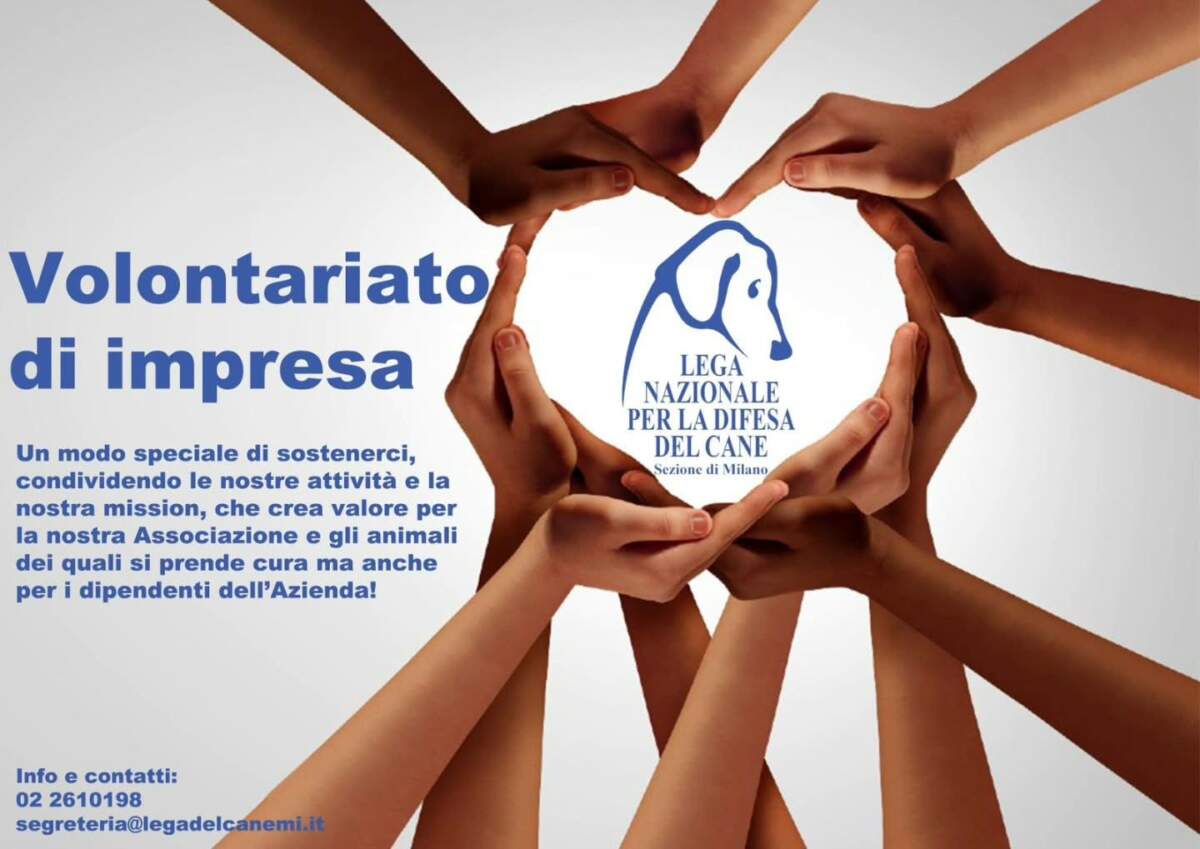 Volontariato aziendale