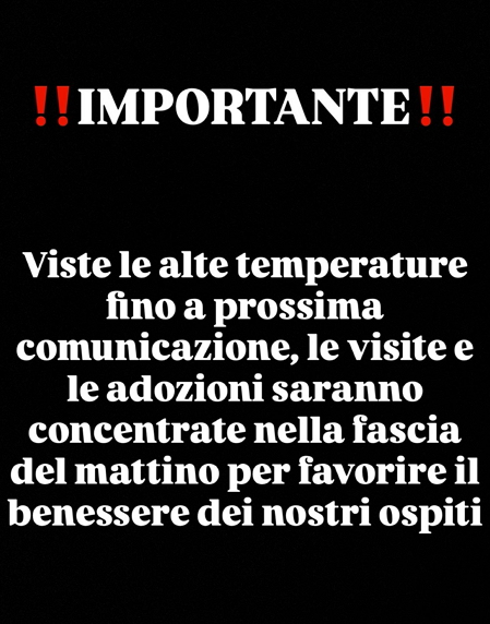 Emergenza caldo