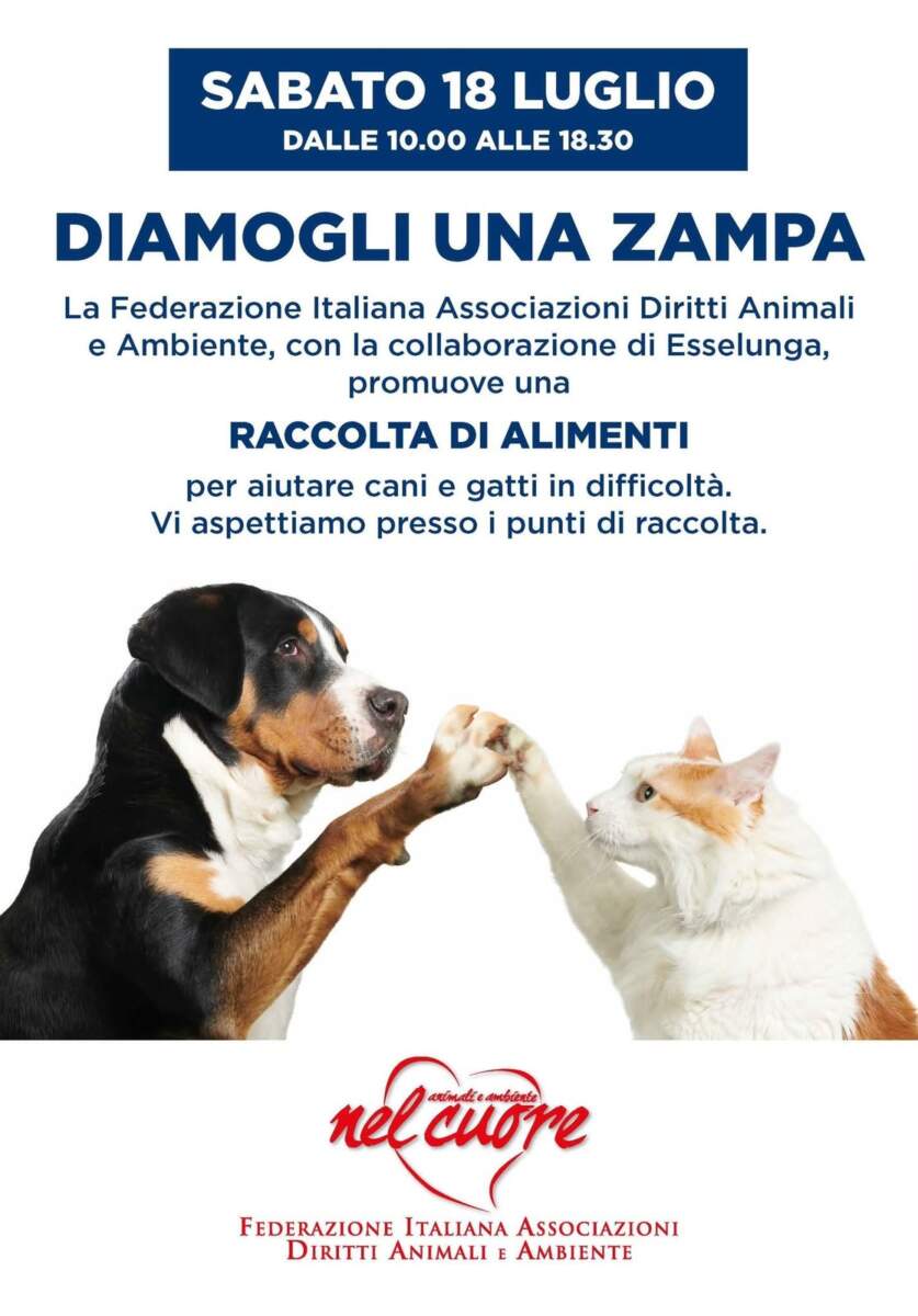 “DIAMOGLI UNA ZAMPA”: SABATO 18 LUGLIO COLLETTA ALIMENTARE PER IL NOSTRO RIFUGIO