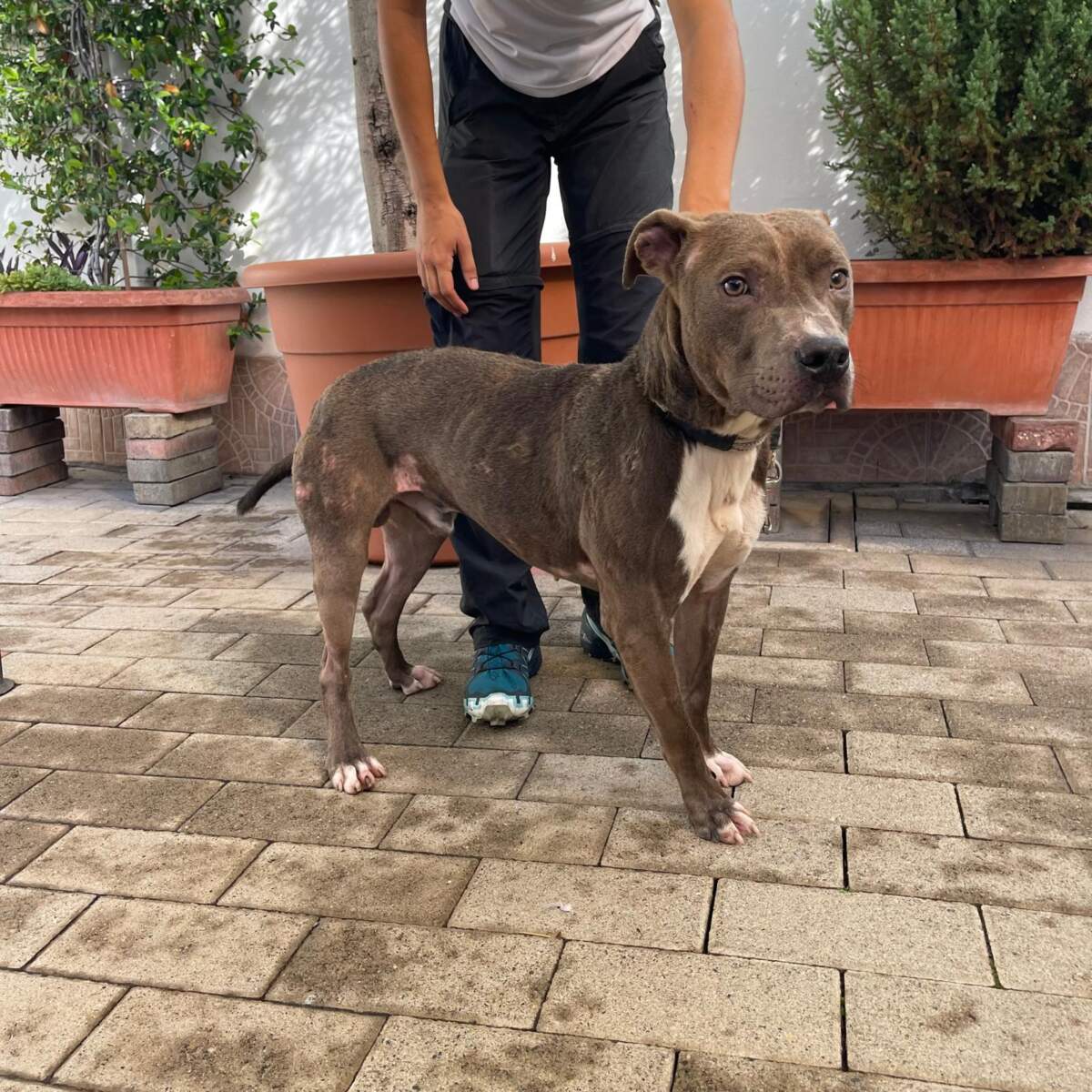 Tayson