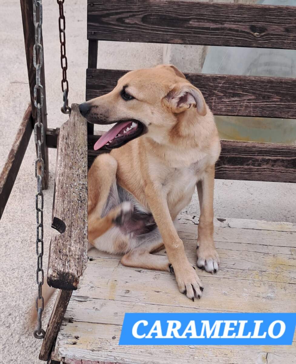 Caramello – in arrivo