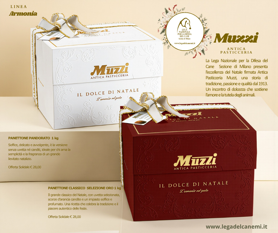 Dolci di Natale solidali – Linea Armonia