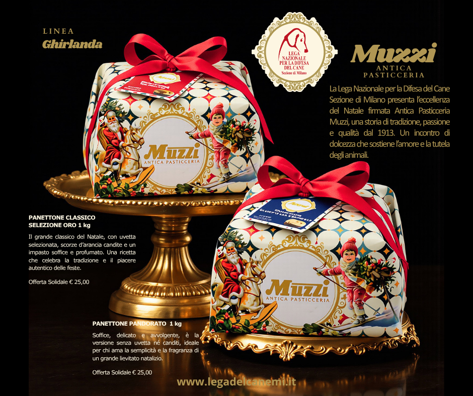Dolci di Natale solidali – Linea Ghirlanda